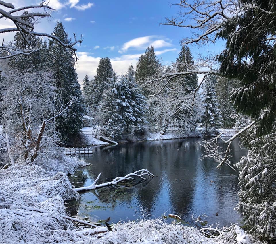 Walking in a Winter Wonderland