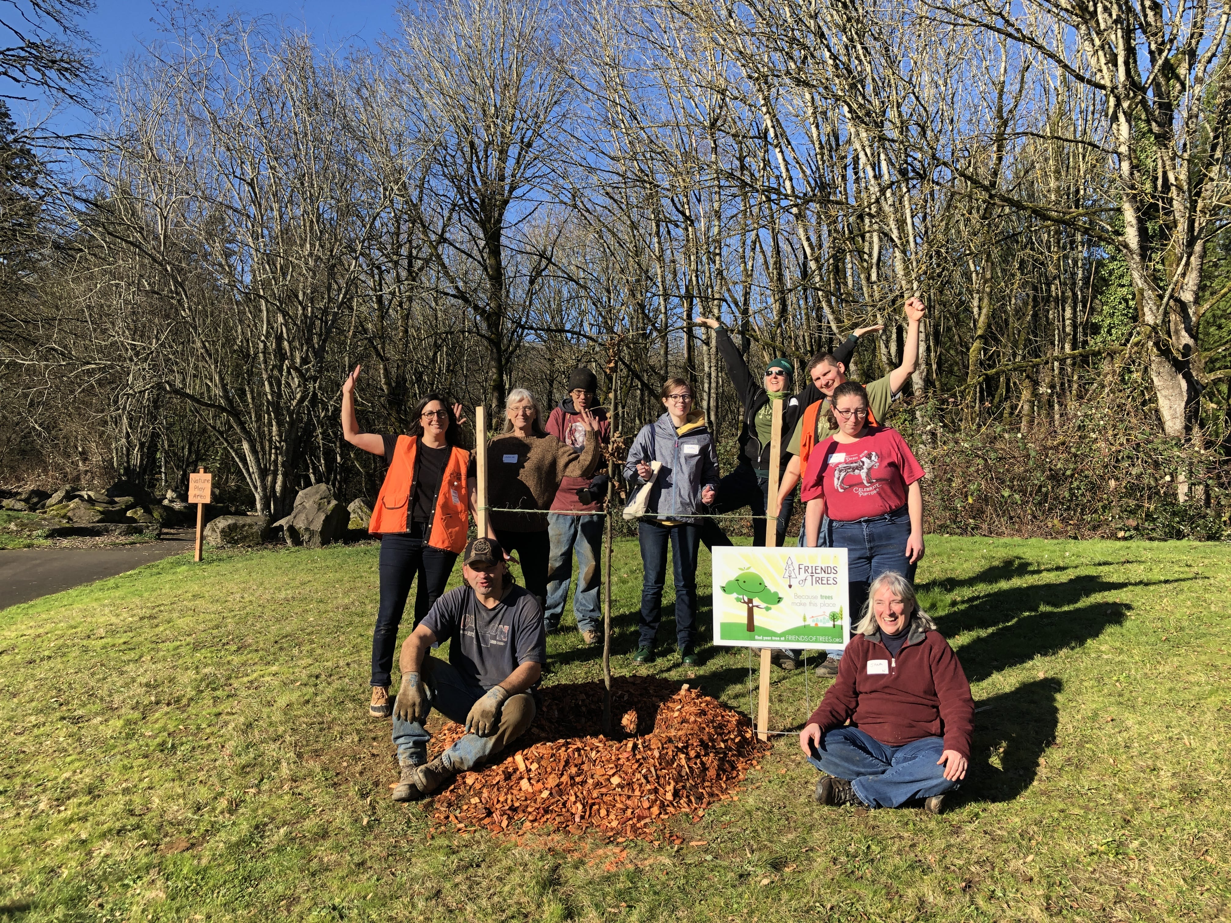 Planting Trees with Friends