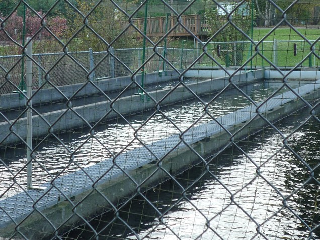 Vancouver Trout Hatchery