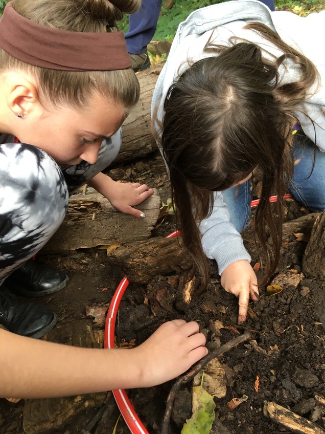 Digging for decomposes