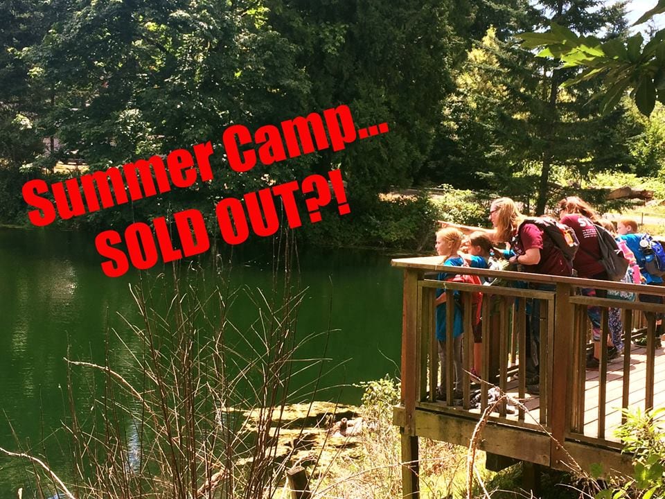 Summer Camp: Both sessions have sold out!