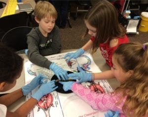 In-Class hands-on activities