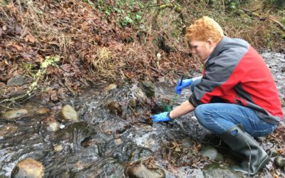 Student Scientists Provide Key Water Quality Insights