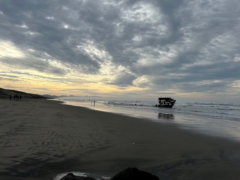 Photo of the wreck of Peter Iredale.