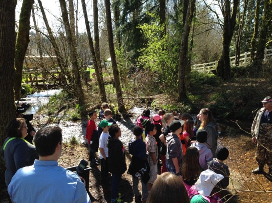 Tales of the Annual Orander Fish Release