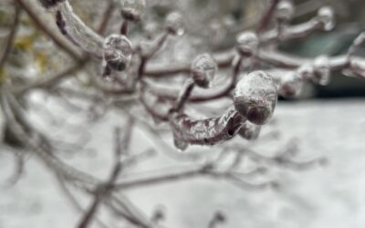 Frozen Chronicles: A Historical Odyssey of Ice Storms in Vancouver, Washington