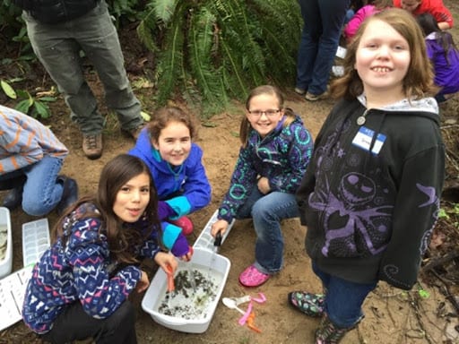 macroinvertebrates station