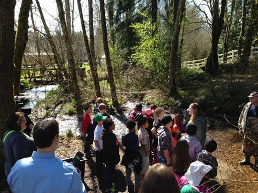 Annual salmon release