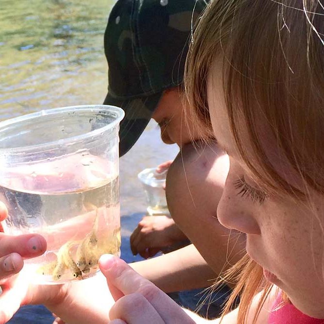 Kid looking at tiny baby salmon